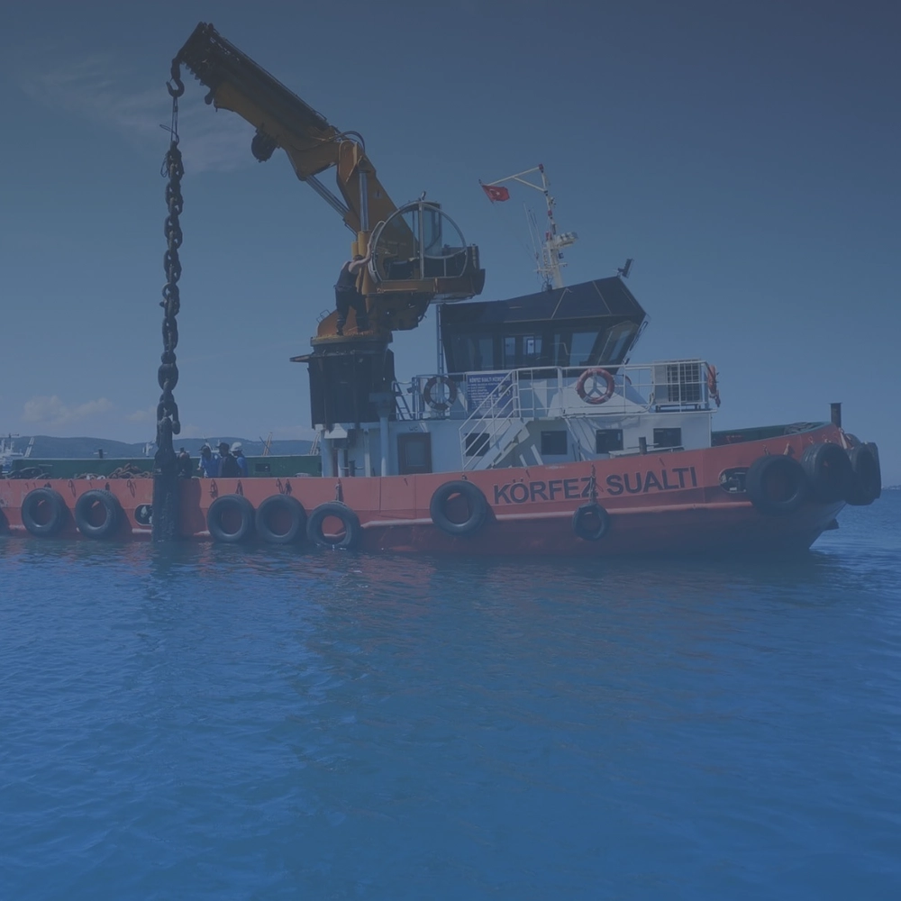 Yeni web sitemiz yayında.